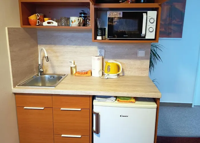 Pensjonat U Macochy 3*